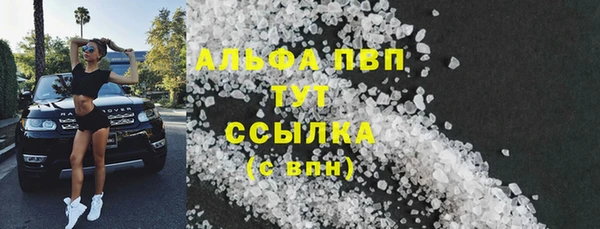 прущие грибы Сретенск